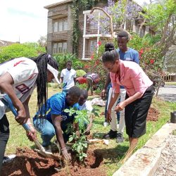 ILU Staff planting trees in ILU Kilimani ILU Staff planting trees in ILU Kilimani